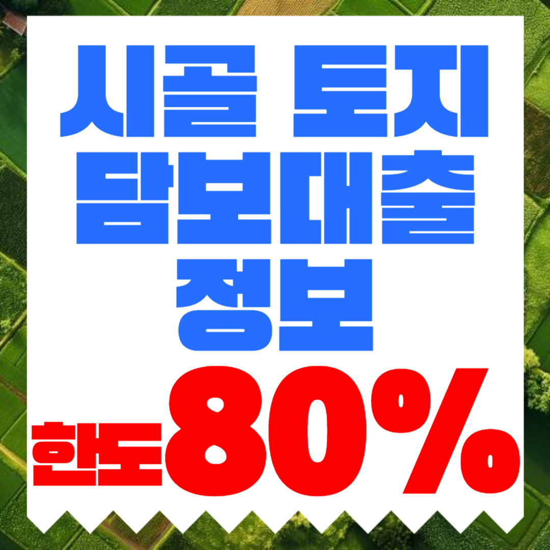 시골 토지담보대출 한도와 DSR 초과 시 2금융 사업자 대출로 검토하는 방법
